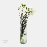 دسته گل میخک سفید 1 دسته - نوع تزیین را در مرحله بعد انتخاب کنید
