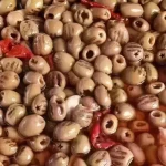 زیتون باربیکو یک کیلوگرم - زیتون بی هسته، گریل شده، تکه های سیر و گوجه در بسته بندی بهد...