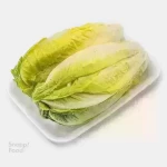 کاهو رسمی 1 تا 1.5 کیلوگرم - 