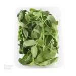 سبزی ریحان ایتالیایی یک بسته (120 تا 150 گرم) - ± 50 گرم
