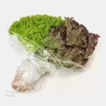 کاهو فرانسوی یک بسته (120 تا 200 گرم) - ± 50 گرم