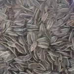تخمه دور سفید پیاز جعفری ۲۰۰گرم - تازه