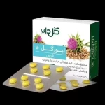 قرص لیورگل 70 گل دارو - 30 عددی، محافظت کننده کبد، صفرا بر، کاهش دهنده عوارض کبدی دا...