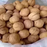 گردو با پوست کاغذی 200گرم - گردو نژاد بلغار