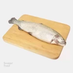 ماهی قزل آلا کامل 1.500 کیلوگرم - مناسب طبخ انواع غذای دریایی به صورت سرخ شده یا گریل، نحوه آم...