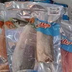 ماهی فیله شوریده منجمد کالی 500 گرم - با بهترین کیفیت، ارایه در بسته بندی بهداشتی