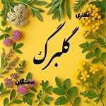 عطاری گلبرگ