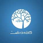 کافه درخت