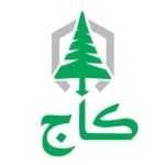 فست فود کاج