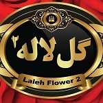 گل لاله 2