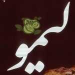 فست فود لیمو (مطهری)