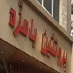 پروتئین بامزه