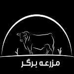 مزرعه برگر