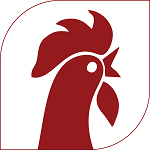 علی کنتاکی (شبانه)