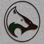کافه کایوت