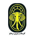 بیرون بر عاج
