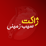 ژاکت سیب زمینی