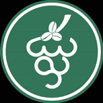 کافه شانی