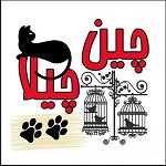 پت شاپ چین چیلا