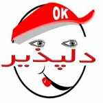 فست فود دلپذیر