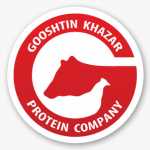 فروشگاه گوشتین