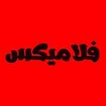 فست فود فلامیکس