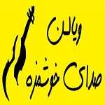فست فود ویالن