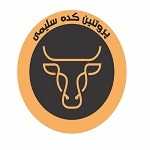 پروتئین کده سلیمی