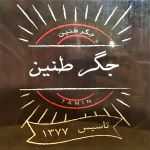 جگر طنین