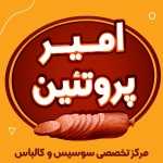 امیر پروتئین