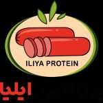 پروتئین ایلیا