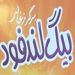 برگر ذغالی بیگ لند فود