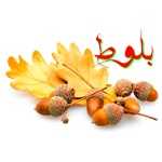 فست فود بلوط