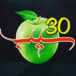 فست فود 30 سیب