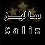 فست فود سالیز