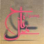 فست فود تاج محل (شبانه)