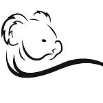 کوالا اسنک