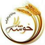 فست فود ایتالیایی خوشه