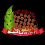 فلافل کیلویی باتیس