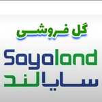 گلفروشی سایالند