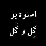 استودیو گل و گل