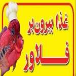 غذا بیرون بر فلاور