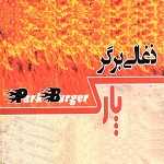 ذغالی برگر پارک