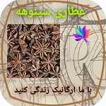عطاری سینوهه