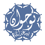 تهیه غذای نوجوان