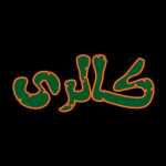 غذای رژیمی کالری