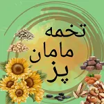تخمه مامان پز