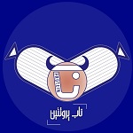 ساندویچ ناب پروتیین