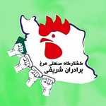 سوپر پروتئین شریفی (شعبه نبرد)