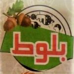 فست فود بلوط